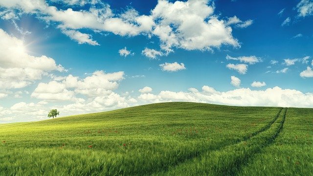 性騷擾防治宣導